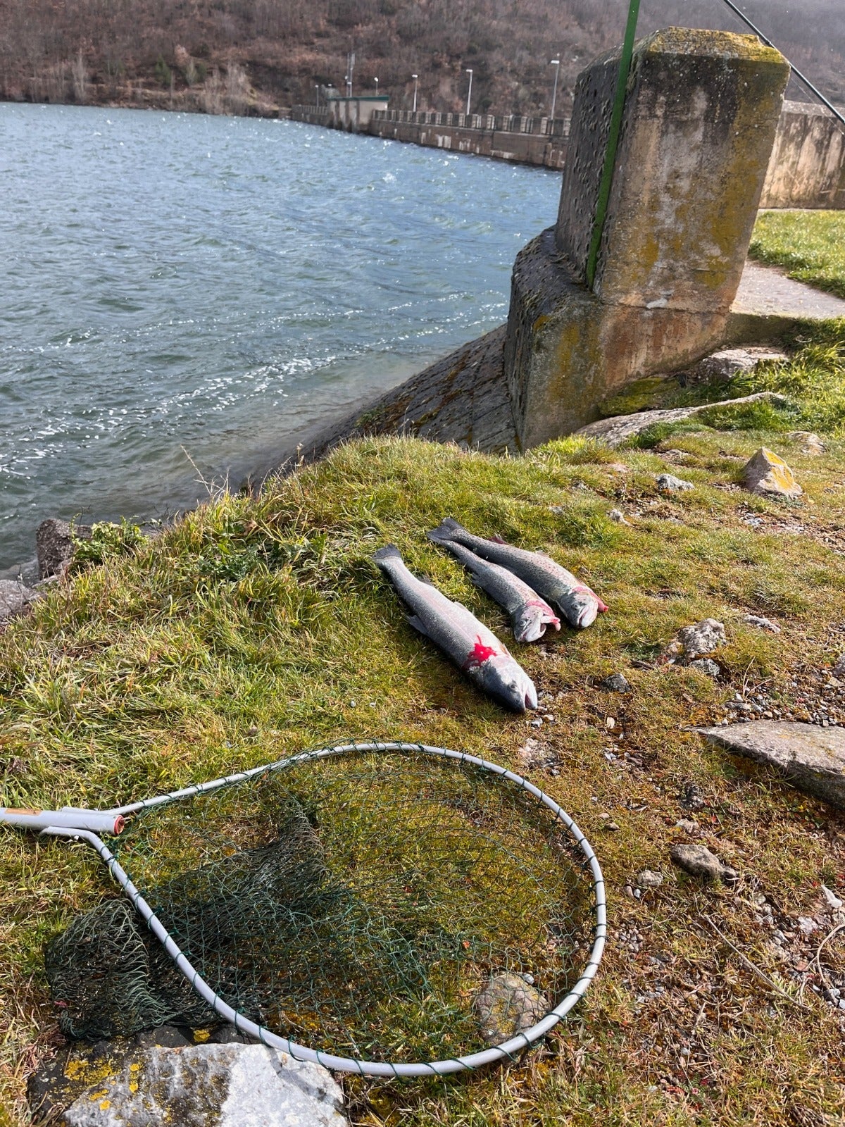 El inicio de la temporada de pesca en el embalse González Lacasa y la laguna de Tricio