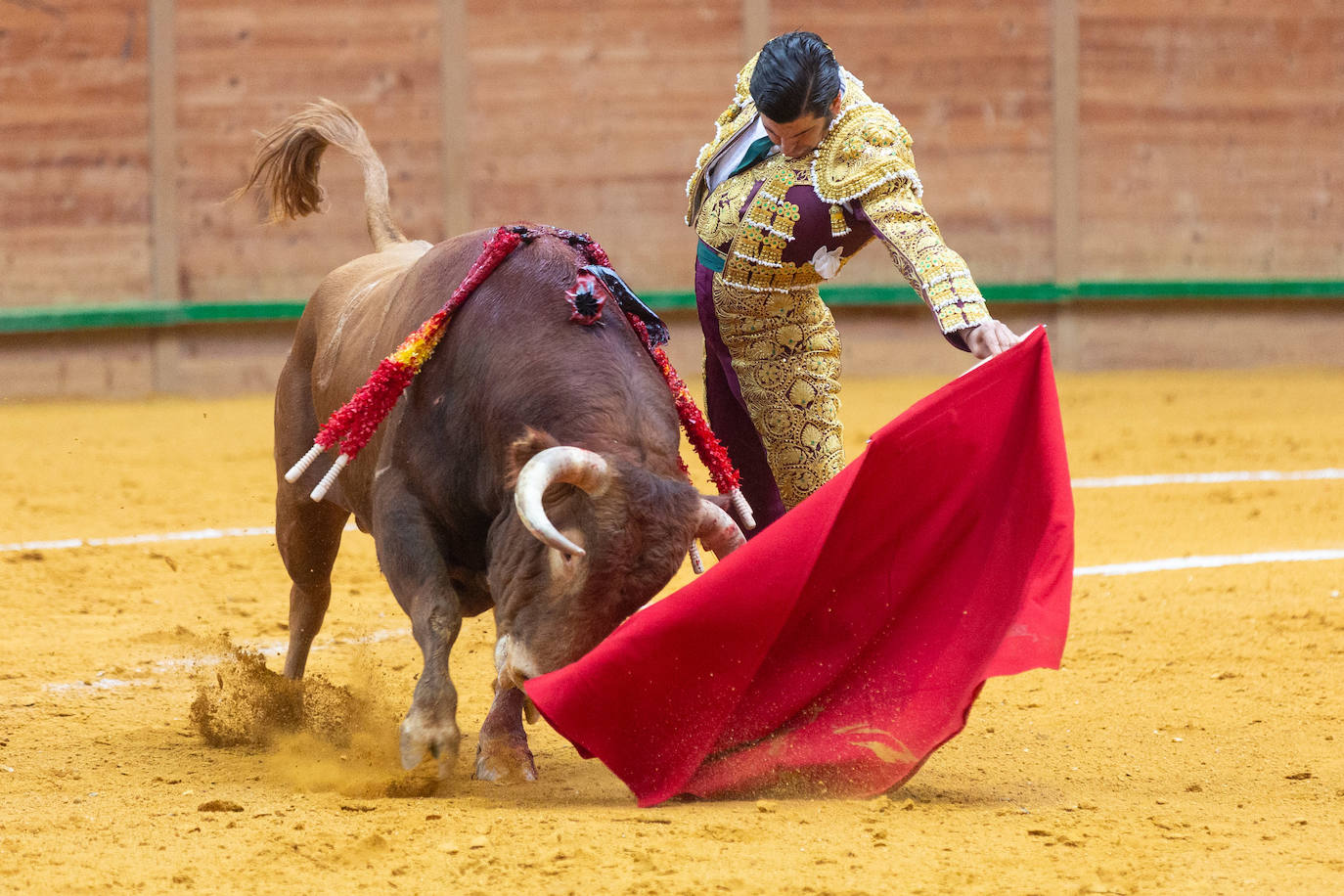 Una tarde taurina en Arnedo