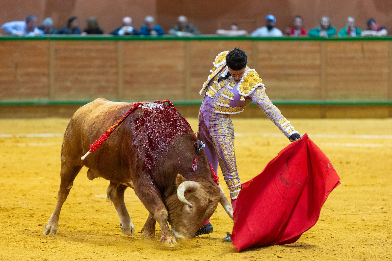 Una tarde taurina en Arnedo