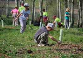 Plantación escolar en el parque de La Grajera