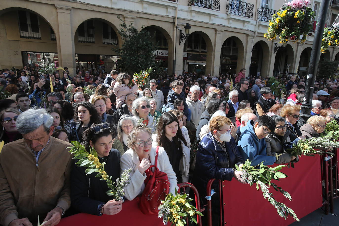 La procesión de &#039;La Borriquita&#039;, en imágenes