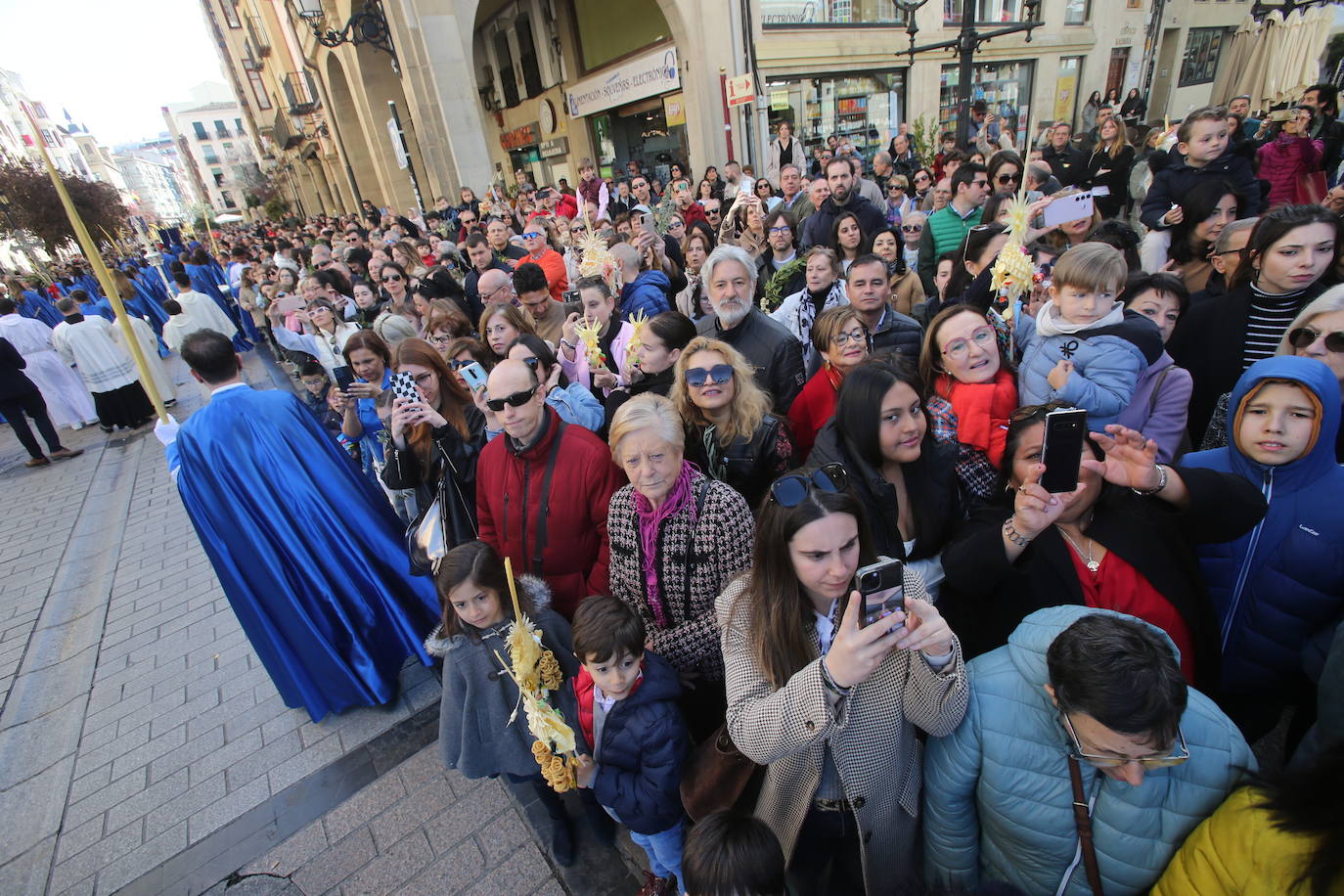 La procesión de &#039;La Borriquita&#039;, en imágenes