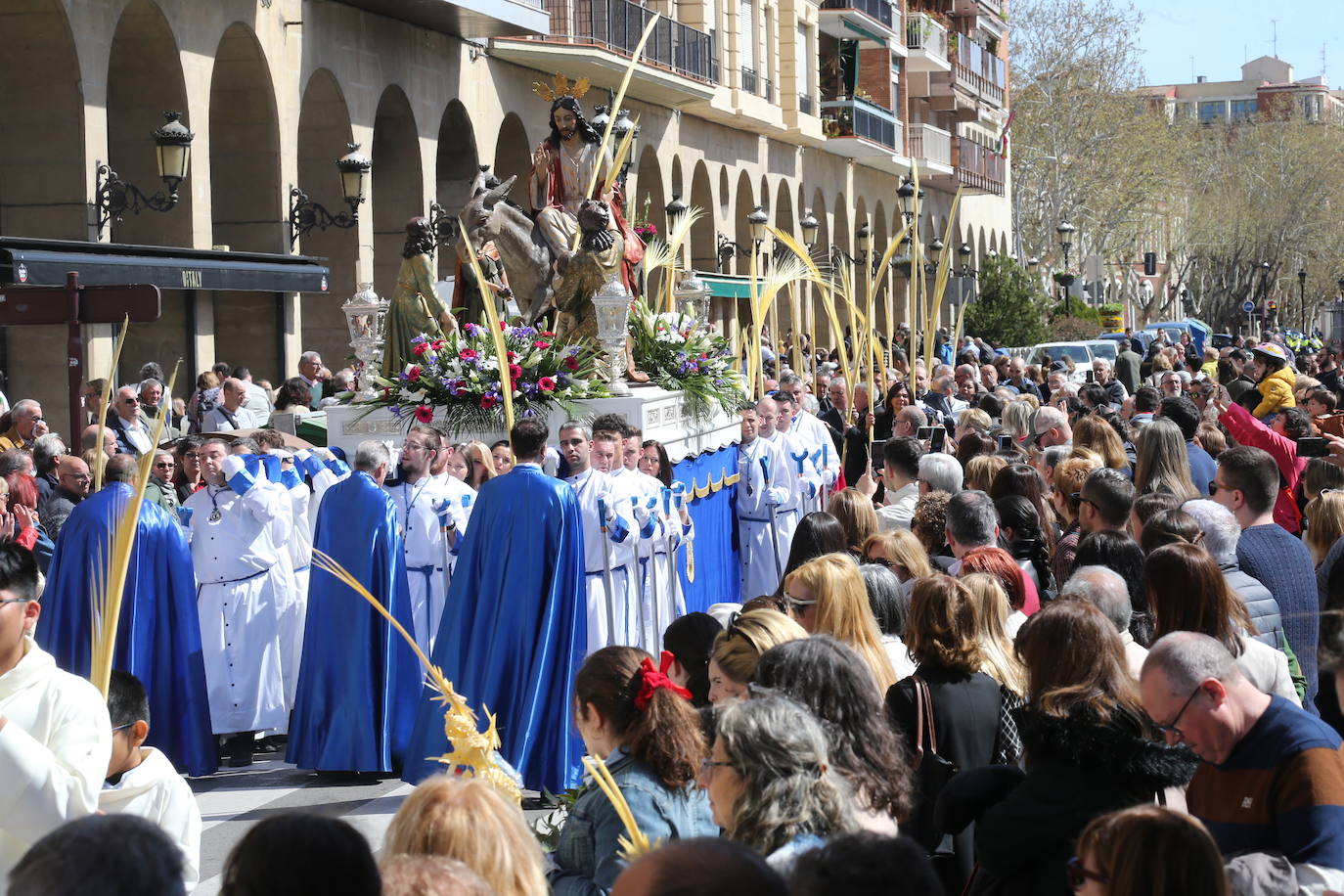 La procesión de &#039;La Borriquita&#039;, en imágenes