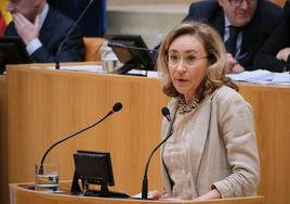 La consejera María Martín, en el Parlamento