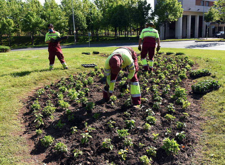 El cuidado de parques y jardines, a día de hoy, se mantiene prorrogado.