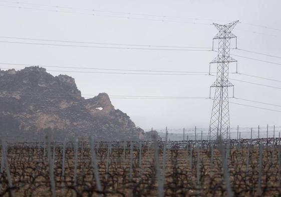 Tendidos eléctricos junto a unos viñedos en La Rioja Alta.