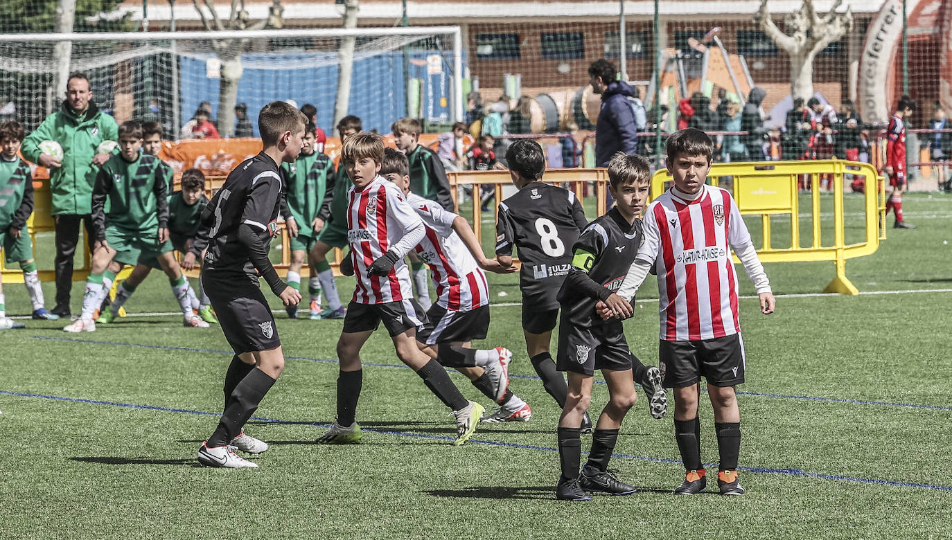 Las imágenes del torneo Laurus