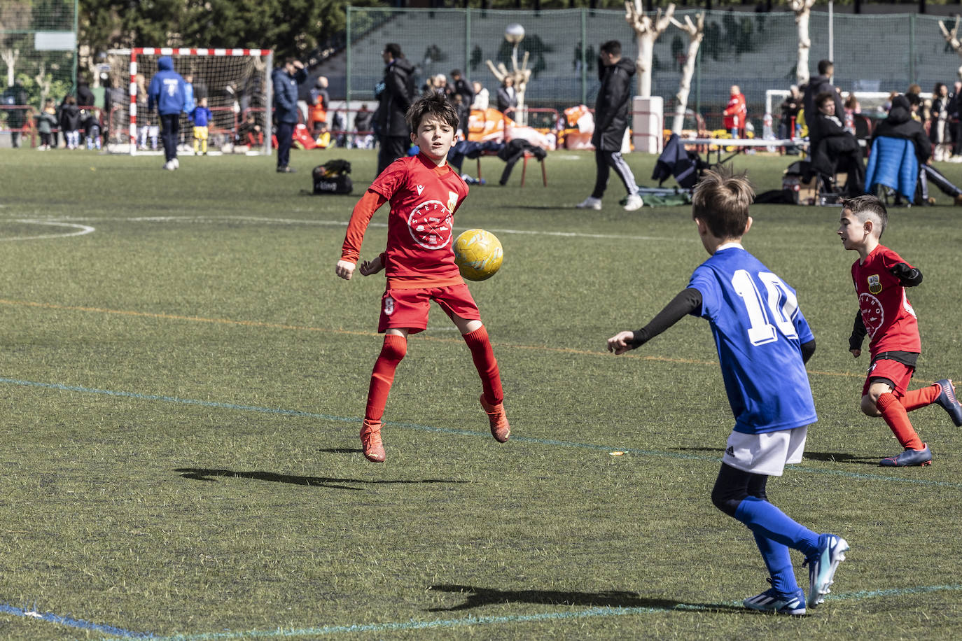 Las imágenes del torneo Laurus