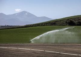 Zona de cultivo en Hervías, cercana a la laguna de la localidad, donde se ubica una de las fincas.