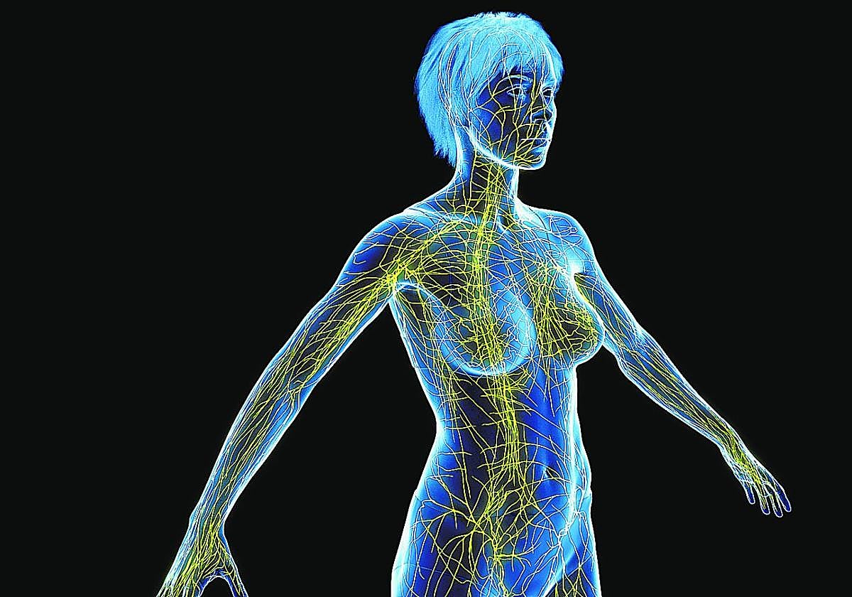 Si busca una buena dieta, apúntese a ésta