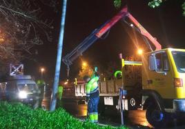 Herido un hombre al chocar contra una farola en Logroño