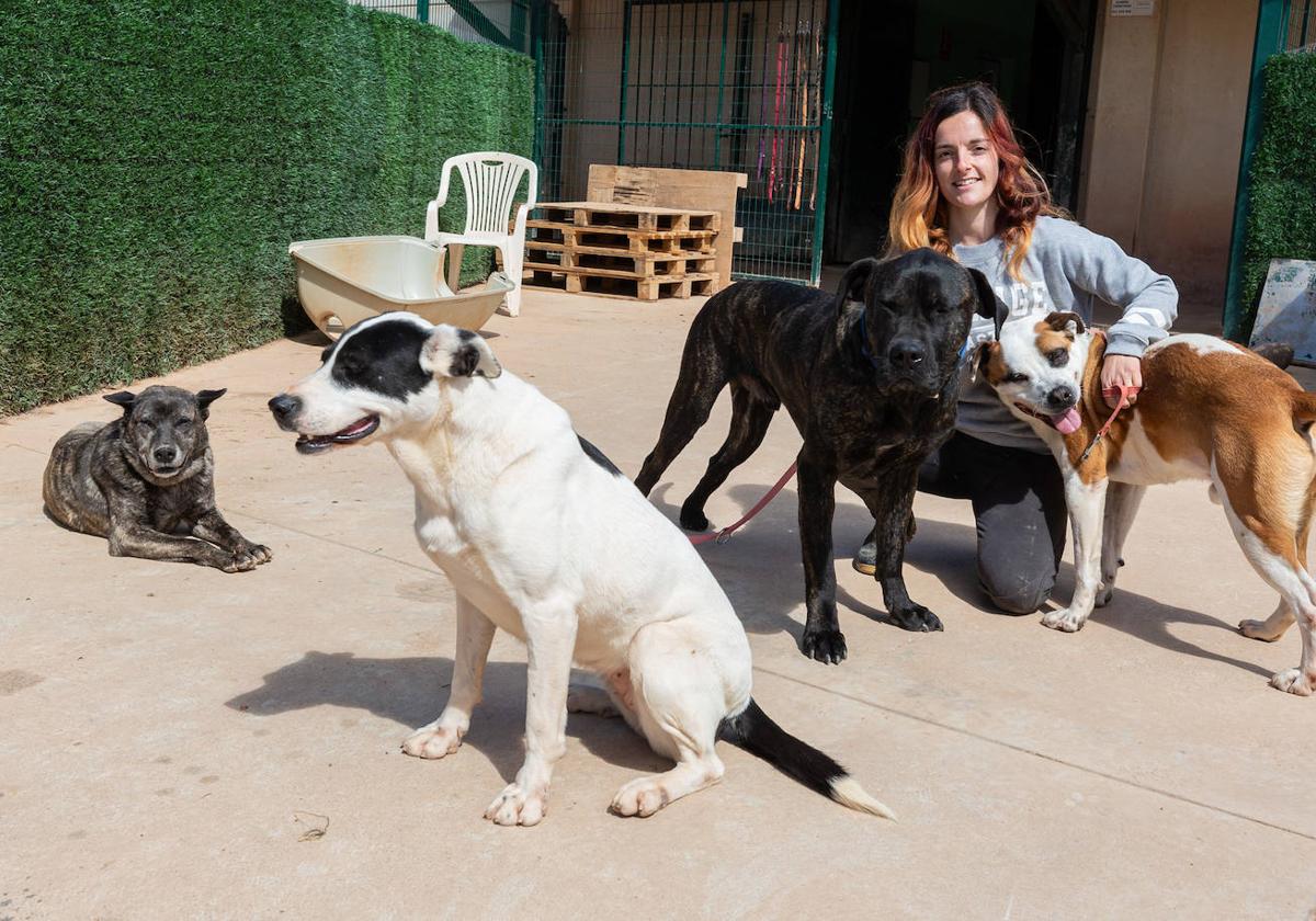 Raquel Luezas, trabajadora de APA-Rioja, junto a Bilie (a la izq.), Zara, Groot y Jocker.