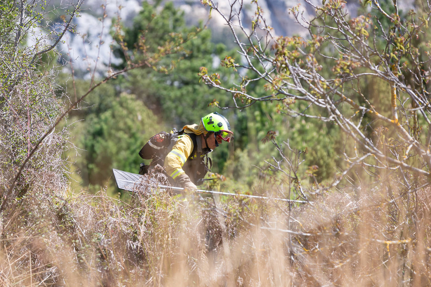 Las imágenes del simulacro de incendio forestal