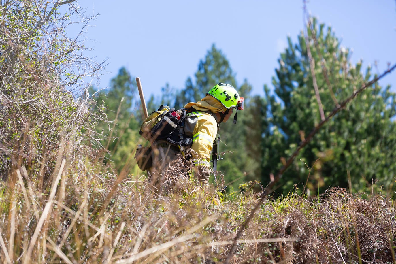 Las imágenes del simulacro de incendio forestal