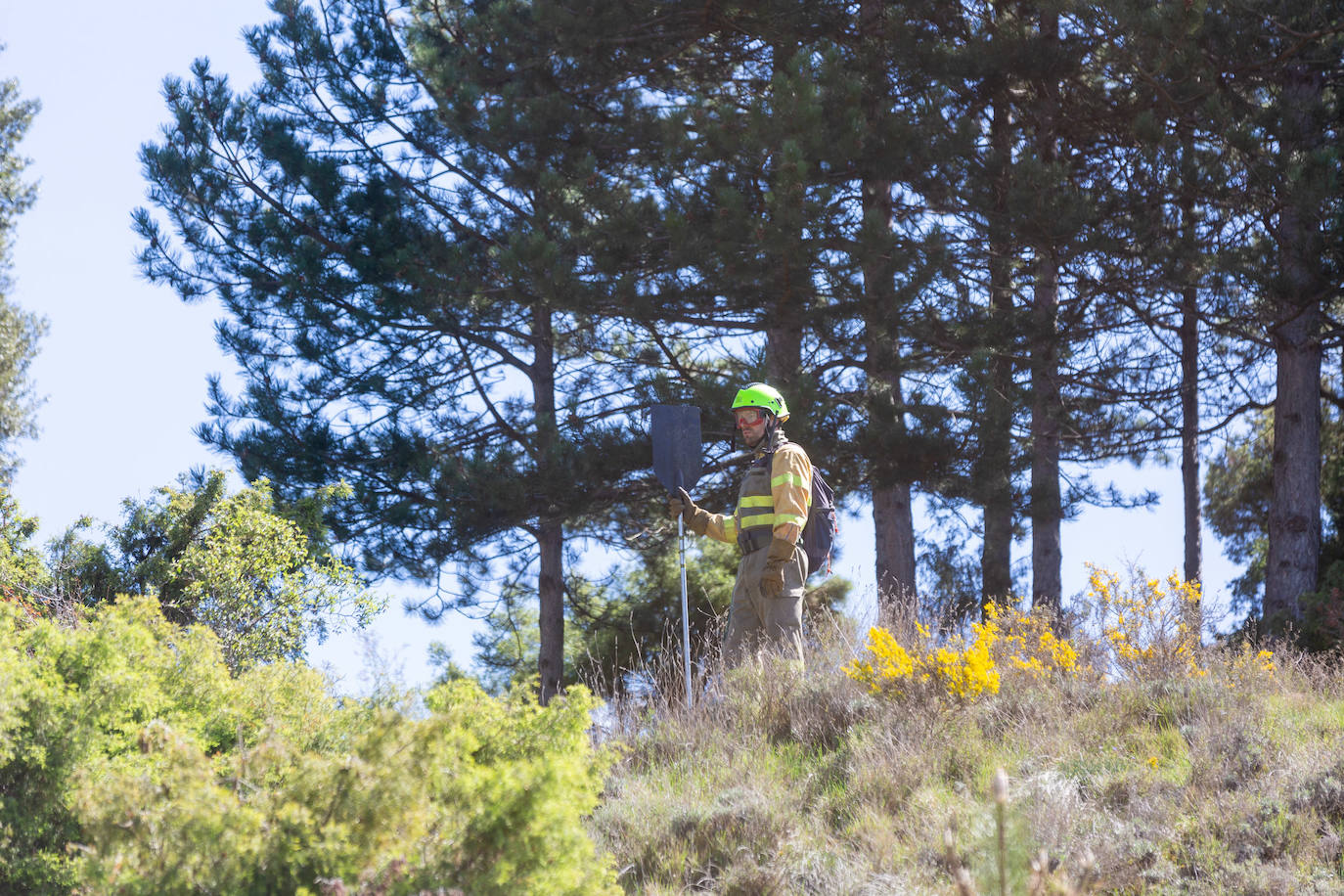 Las imágenes del simulacro de incendio forestal