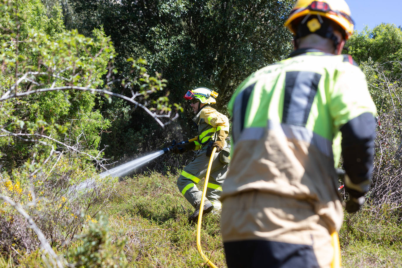 Las imágenes del simulacro de incendio forestal