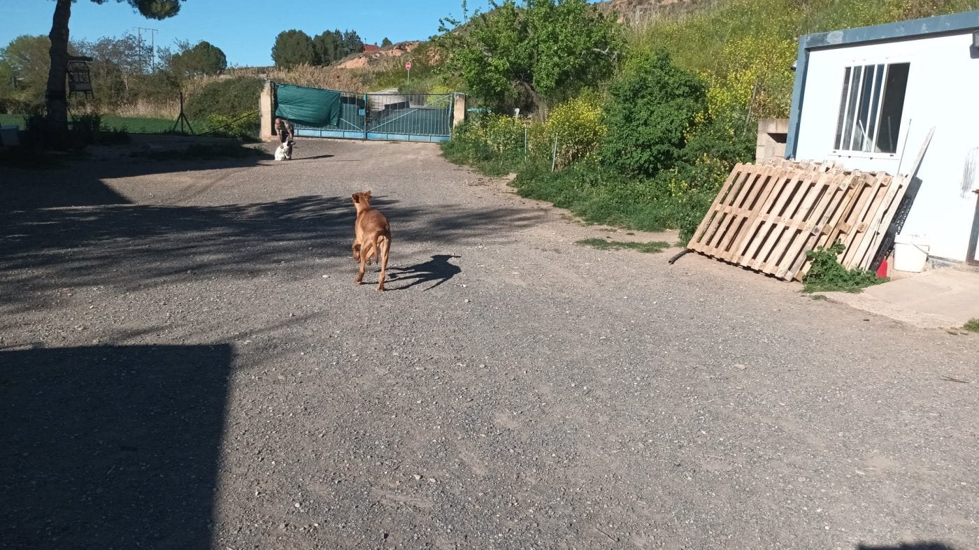 La caseta de almacenaje del pienso, a la derecha, dentro del refugio de la asociación Animales Rioja.