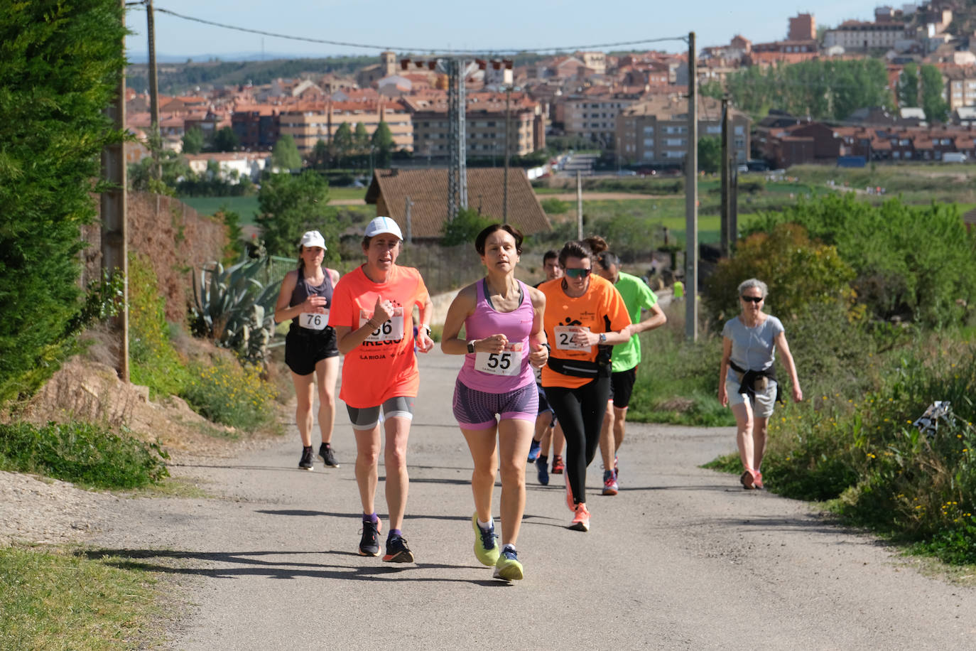 Las imágenes de la carrera Valle del Iregua