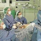 Intervención quirúrgica por laparoscopia en el Hospital San Pedro, en una imagen de archivo.