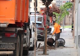 El Ayuntamiento retira 120 catalpas que ensuciaban Chivite