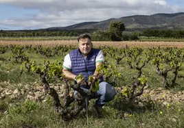 El viticultor en uno de sus viñedos centenarios de Tudelilla