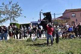 En recuerdo de los 130 años del ferial de ganado de Rincón de Soto