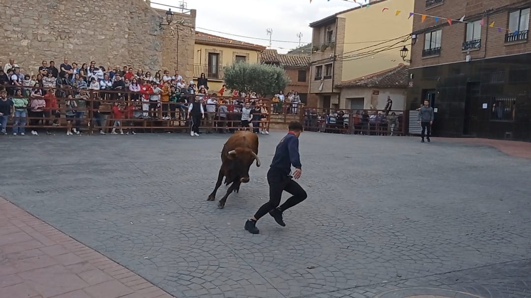 Imagen de archivo de vaquillas en Rincón de Olivedo.
