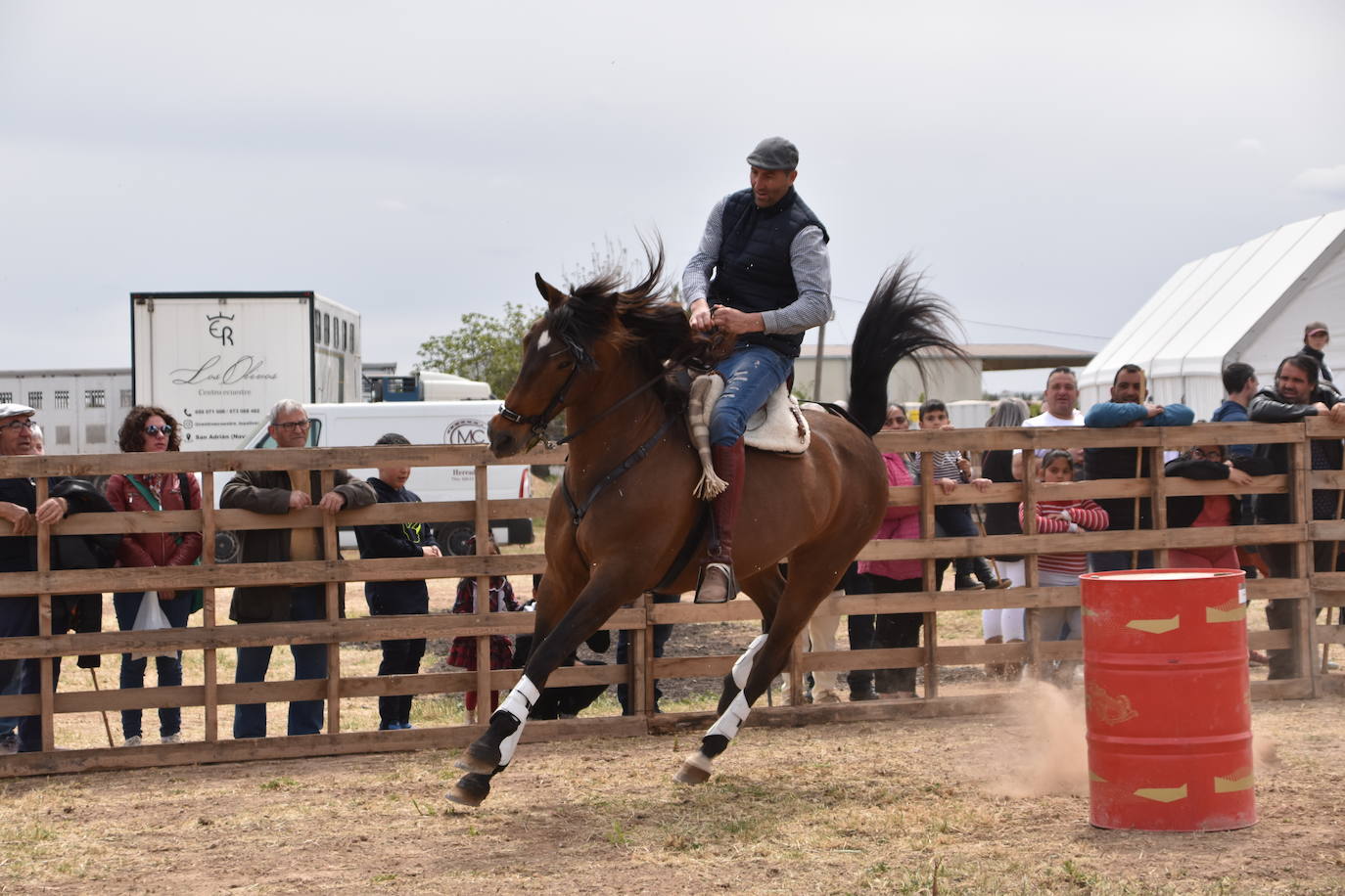 Gran ferial de ganado equino en Rincón de Soto