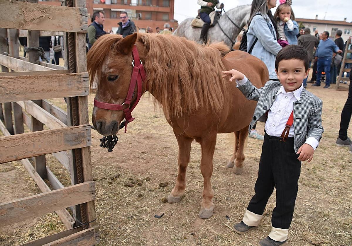 Gran ferial de ganado equino en Rincón de Soto