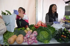 El color de un mercado de verduras