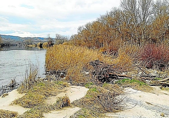 Imagen de uno de los espacios junto al Ebro que se beneficiarán de este proyecto.