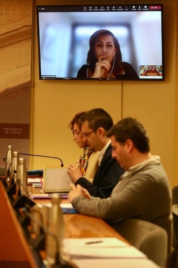 La expresidenta Andreu ha coparecido por videoconferencia desde el Senado.