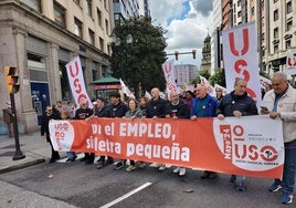 Cabeza de la manifestación en Gijón, en la que participaron representantes riojanos.