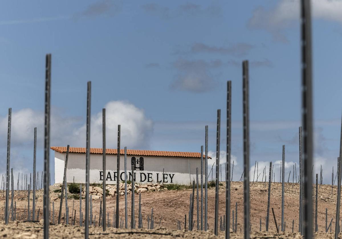 Fincas que rodean a la bodega Barón de Ley en Mendavia (Navarra), donde el grupo vitivinícola tiene su sede.