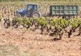 Subidos al tractor: así queremos seguir... pero con algo más de cabeza.