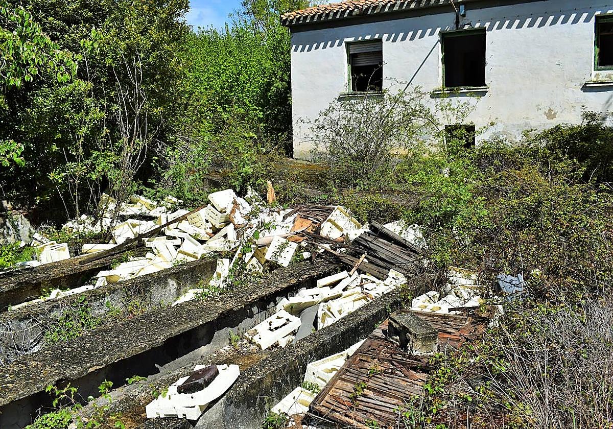 Las imágenes del estado de abandono de la piscifactoria