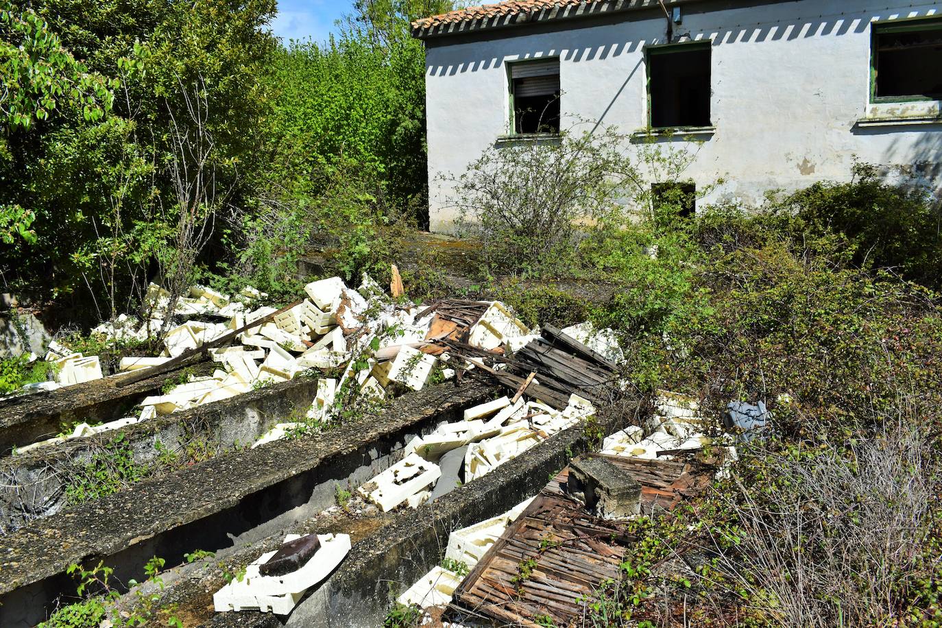 Las imágenes del estado de abandono de la piscifactoria
