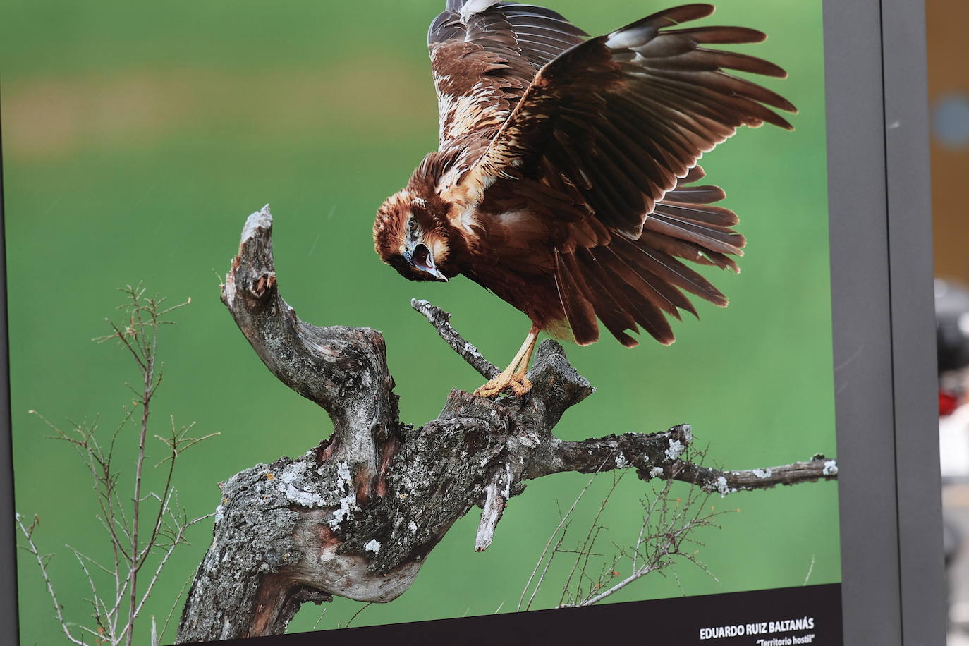 Exposición del &#039;XVII Concurso Fotográfico Naturaleza de La Rioja&#039;