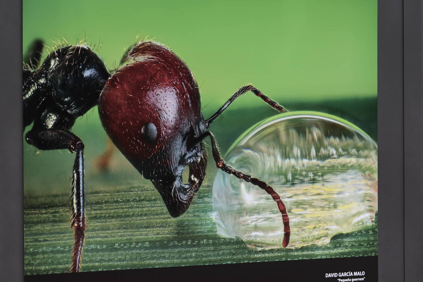 Exposición del &#039;XVII Concurso Fotográfico Naturaleza de La Rioja&#039;