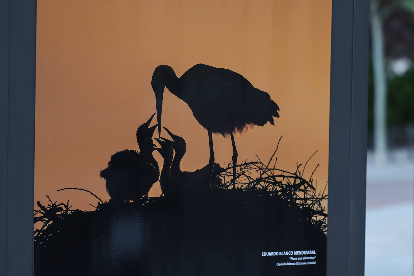 Exposición del &#039;XVII Concurso Fotográfico Naturaleza de La Rioja&#039;