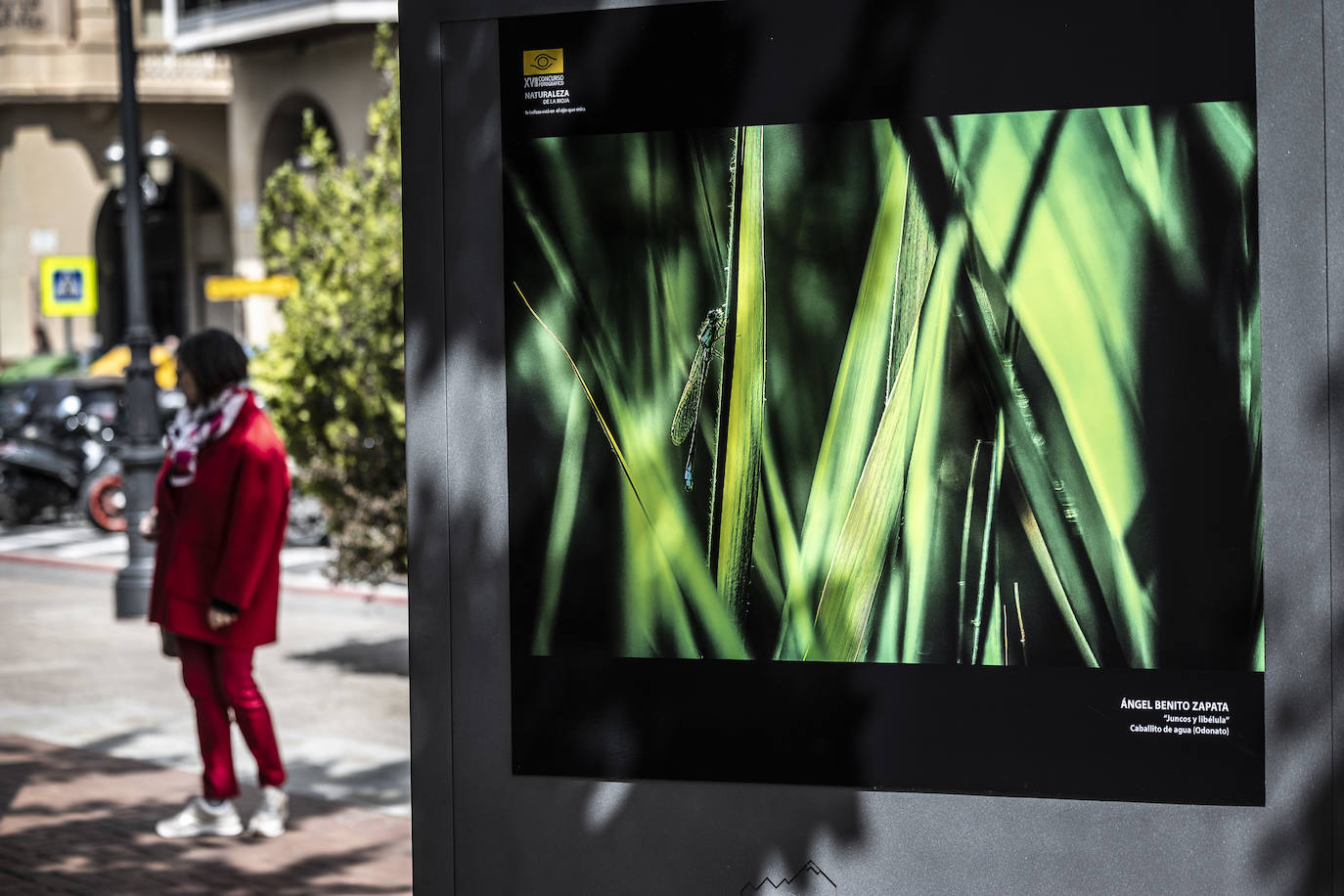 Exposición del &#039;XVII Concurso Fotográfico Naturaleza de La Rioja&#039;