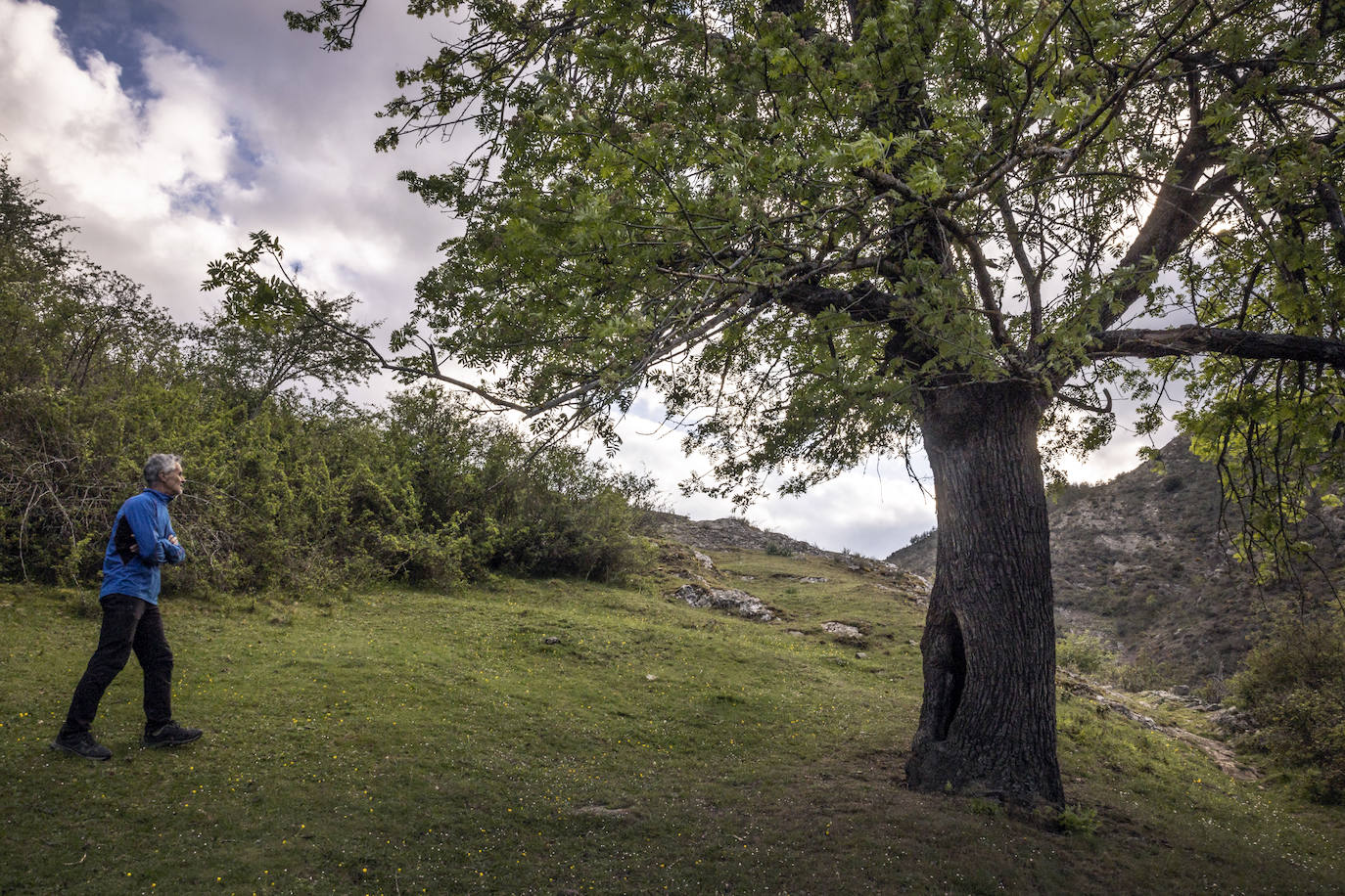 Una lucha en solitario para que Oliván no quede deshabitada