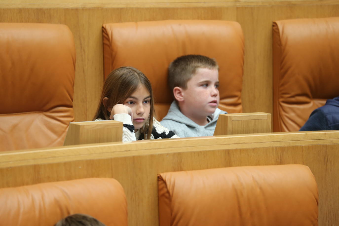 El Parlamento de La Rioja acoge la celebración del Pleno infantil