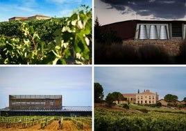 Arriba, Finca La Capilla, de Marqués de Cáceres (a la izquierda), y Portia, de Familia Martínez Zabala-Grupo Faustino; y abajo, Bela, de CVNE (izquierda) y Áster (La Rioja Alta), todas ellas bodegas ubicadas en Ribera del Duero.