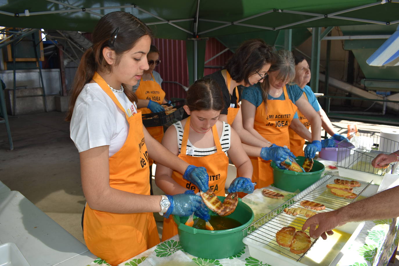 Fiesta del trujal en Igea con 1.500 tostadas para disfrutar