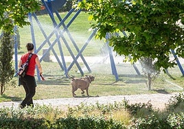Un perro pasea por el parque Felipe VI de Logroño refrescándose entre la lluvia de aspersores.