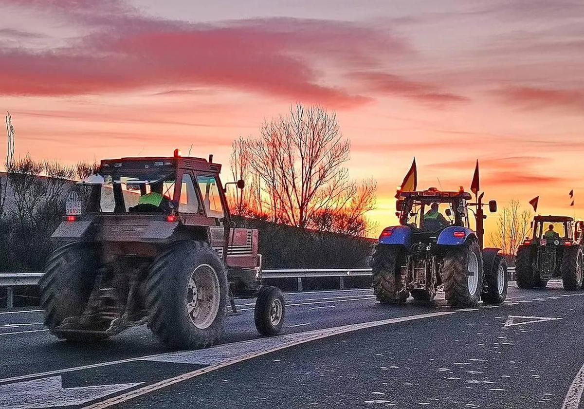 Imagen de los tractores riojanos en la carretera en una de las concentraciones de este invierno.