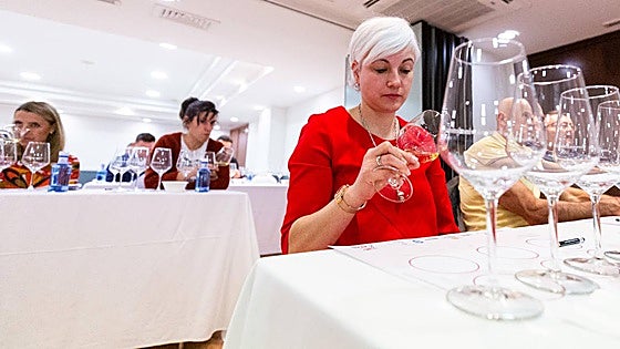 Las imágenes de la cata de Berta Valgañón
