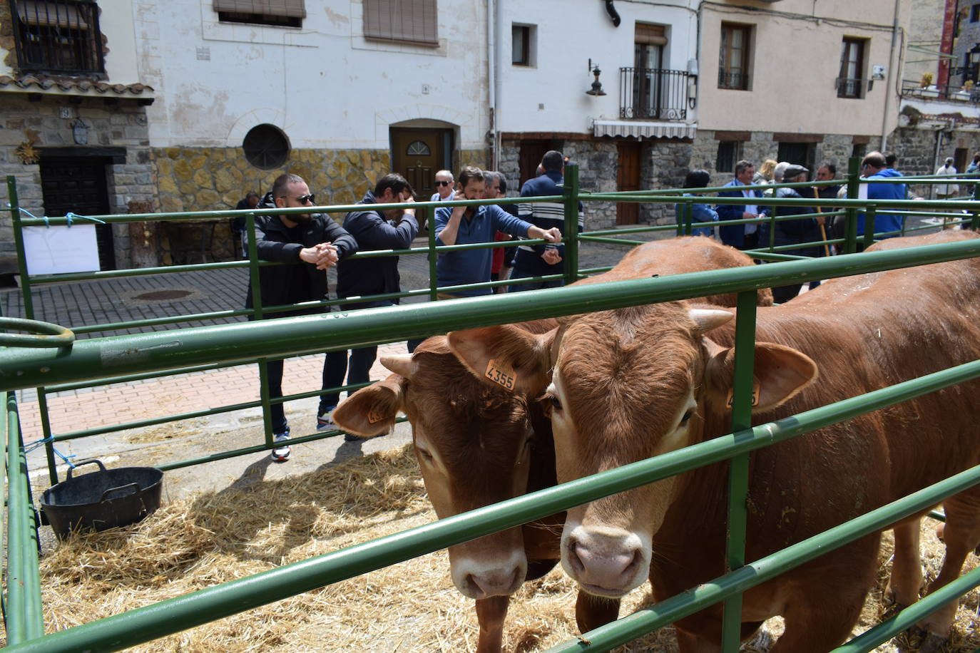 La VII Feria del Ganado Selecto, en imágenes