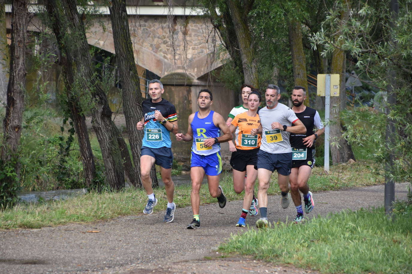 XIV edición de la Carrera Ciruela de Nalda y Quel